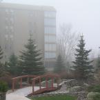 A Foggy Morning
 / Утро туманное